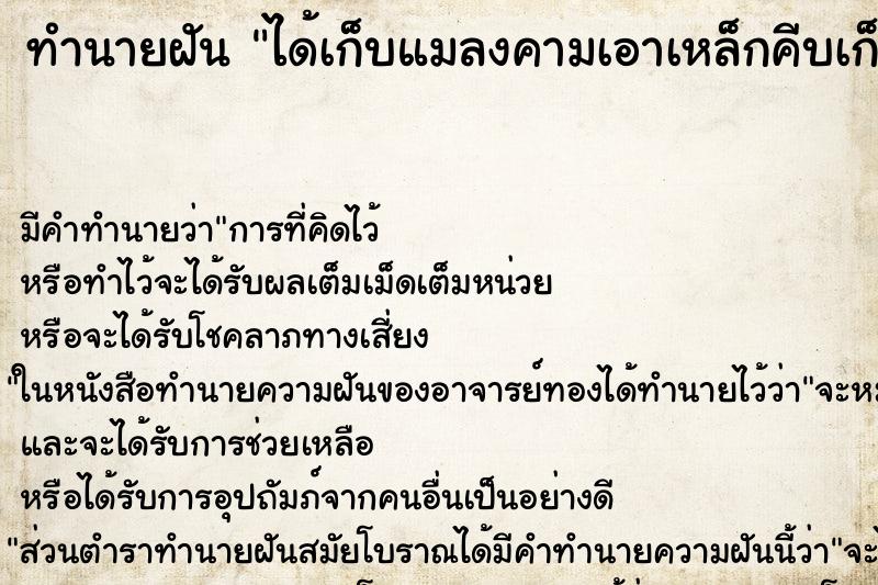 ทำนายฝันทำนายฝันได้เก็บแมลงคามเอาเหล็กคีบเก็บเอา