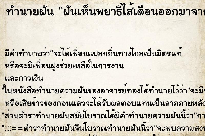 ทำนายฝันฝันเห็นพยาธิไส้เดือนออกมาจากก้นของตัวเอง ทำนายฝันทำนายฝันฝันเห็นพยาธิไส้เดือนออกมาจากก้นของตัวเอง