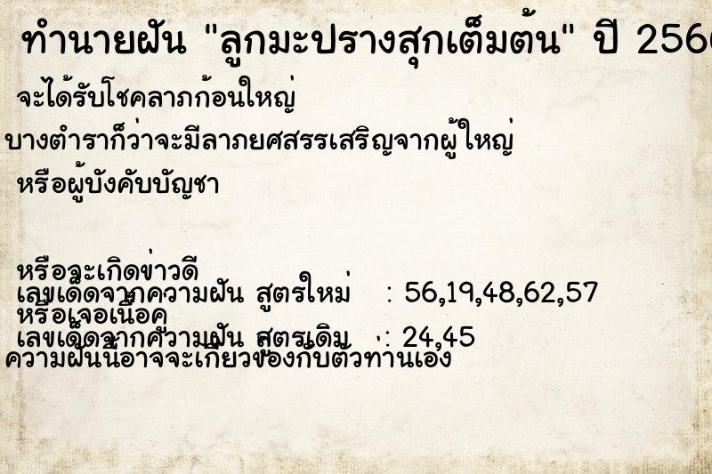 ทำนายฝัน ลูกมะปรางสุกเต็มต้น ทำนายฝัน ลูกมะปรางสุกเต็มต้น