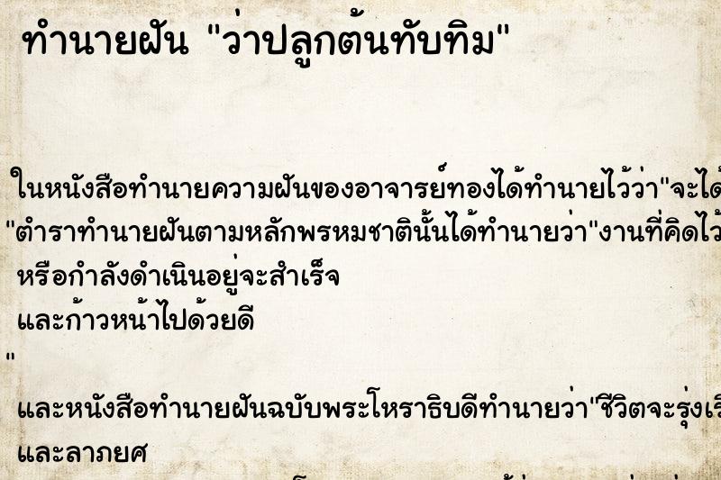 ทำนายฝัน ว่าปลูกต้นทับทิม ทำนายฝัน ว่าปลูกต้นทับทิม
