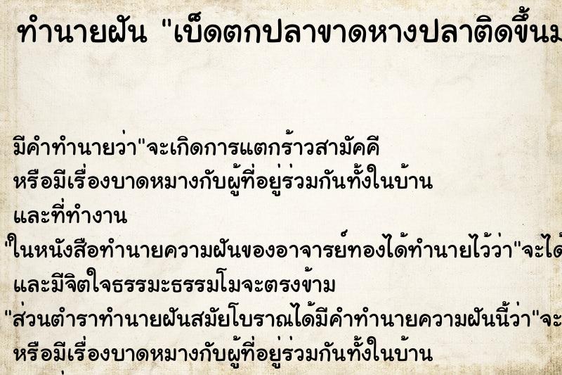 ทำนายฝัน เบ็ดตกปลาขาดหางปลาติดขึ้นมา ทำนายฝัน เบ็ดตกปลาขาดหางปลาติดขึ้นมา
