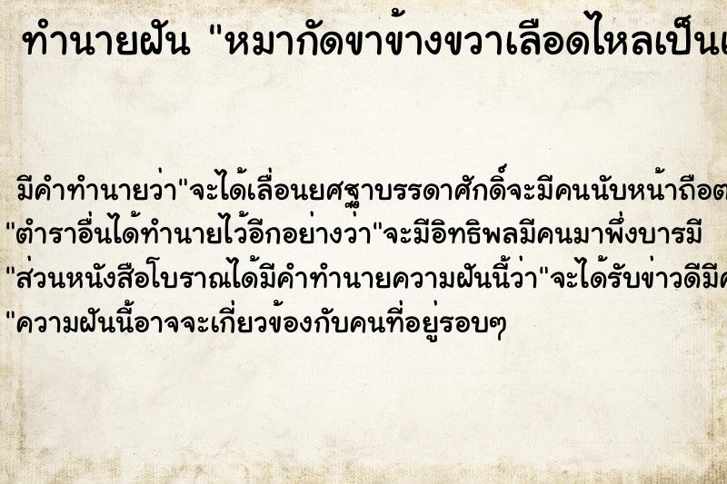 ทำนายฝัน หมากัดขาข้างขวาเลือดไหลเป็นแผล ตำราโบราณ แม่นที่สุดในโลก