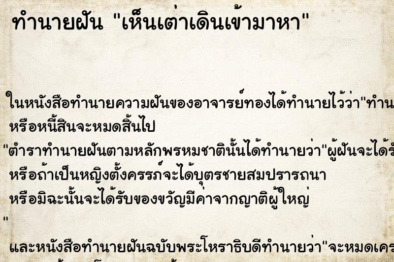 ทำนายฝัน เห็นเต่าเดินเข้ามาหา ทำนายฝัน เห็นเต่าเดินเข้ามาหา