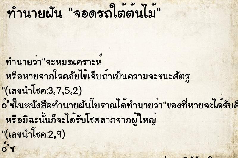 ทำนายฝันจอดรถใต้ต้นไม้ ทำนายฝันทำนายฝันจอดรถใต้ต้นไม้