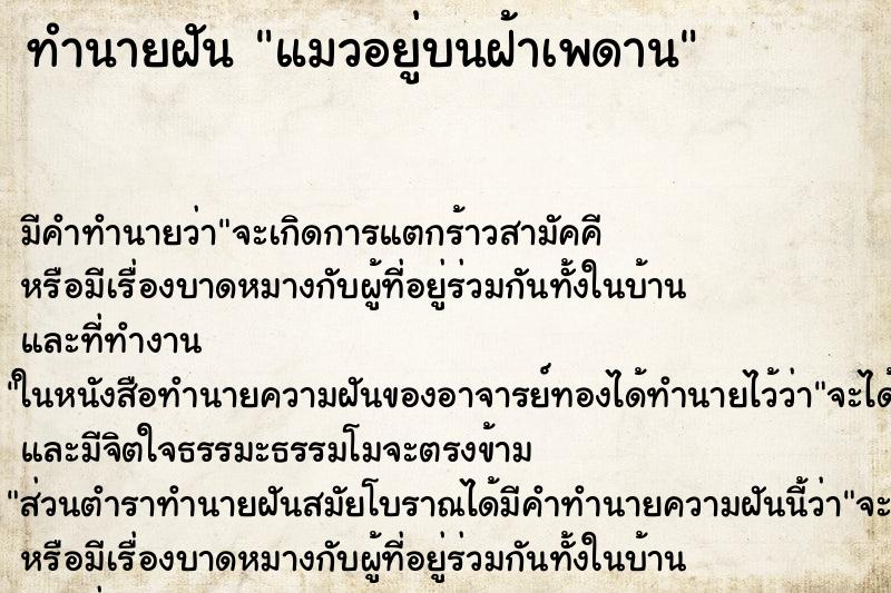 ทำนายฝัน แมวอยู่บนฝ้าเพดาน ทำนายฝัน แมวอยู่บนฝ้าเพดาน