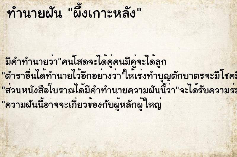ทำนายฝันผึ้งเกาะหลัง ทำนายฝันทำนายฝันผึ้งเกาะหลัง