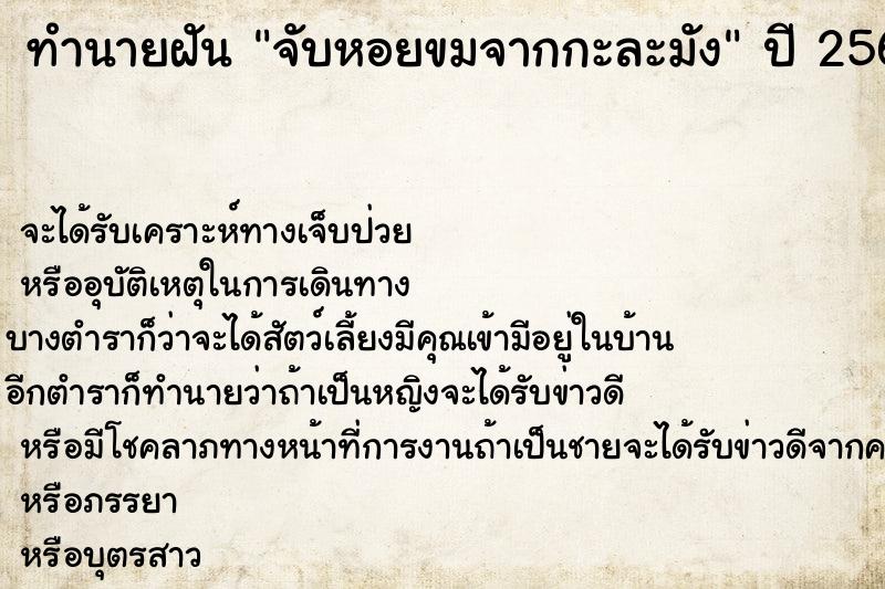 ทำนายฝัน จับหอยขมจากกะละมัง ทำนายฝัน จับหอยขมจากกะละมัง