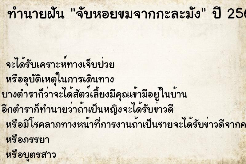 ทำนายฝัน จับหอยขมจากกะละมัง ตำราโบราณ แม่นที่สุดในโลก