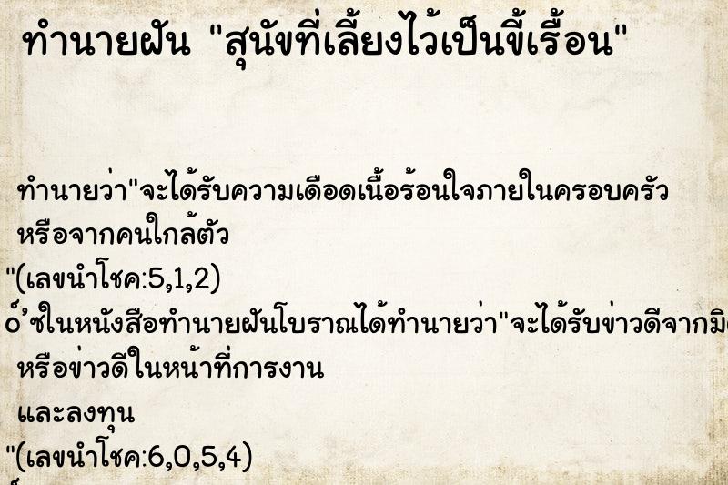 ทำนายฝัน สุนัขที่เลี้ยงไว้เป็นขี้เรื้อน ทำนายฝัน สุนัขที่เลี้ยงไว้เป็นขี้เรื้อน