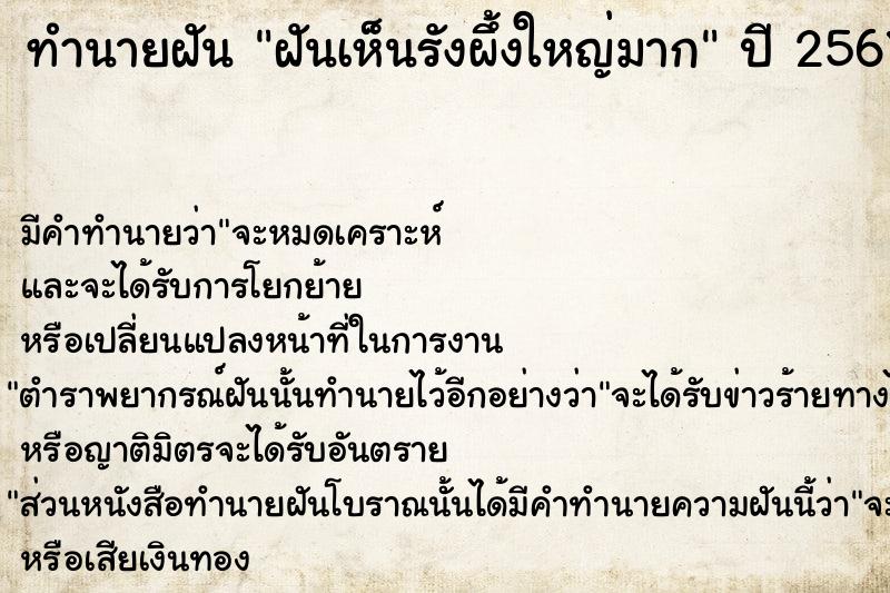 ทำนายฝันทำนายฝันฝันเห็นรังผึ้งใหญ่มาก