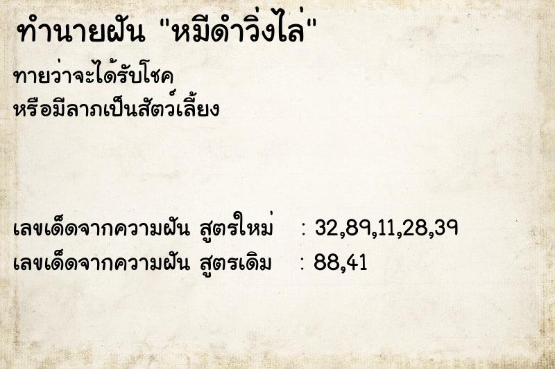 ทำนายฝัน หมีดำวิ่งไล่