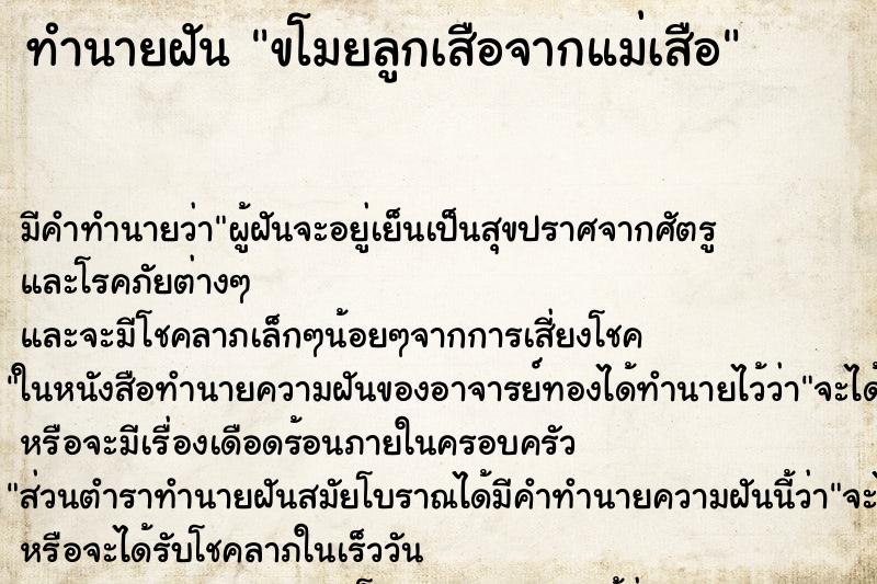 ทำนายฝันขโมยลูกเสือจากแม่เสือ ทำนายฝันทำนายฝันขโมยลูกเสือจากแม่เสือ
