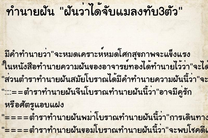 ทำนายฝัน ฝันว่าได้จับแมลงทับ3ตัว ทำนายฝัน ฝันว่าได้จับแมลงทับ3ตัว