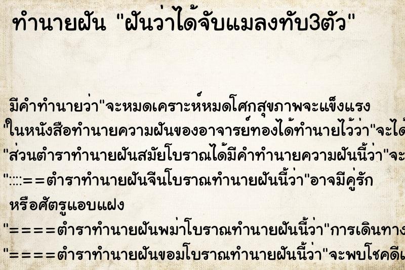 ทำนายฝัน ฝันว่าได้จับแมลงทับ3ตัว ตำราโบราณ แม่นที่สุดในโลก