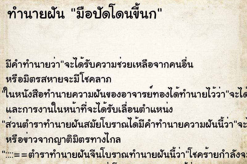 ทำนายฝัน มือปัดโดนขี้นก ทำนายฝัน มือปัดโดนขี้นก