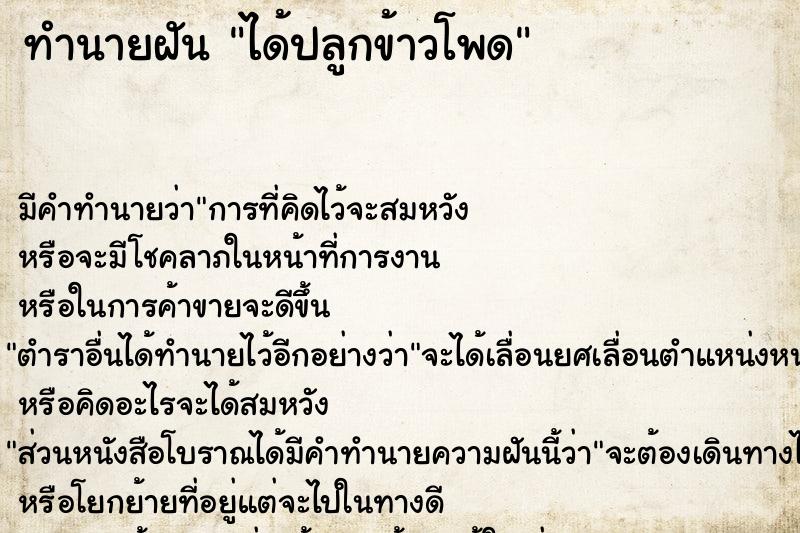 ทำนายฝัน ได้ปลูกข้าวโพด แม่นๆ ฟรี ด้วยตำราหนังสือทำนายฝันโบราณ ทำนายฝันได้ปลูกข้าวโพด