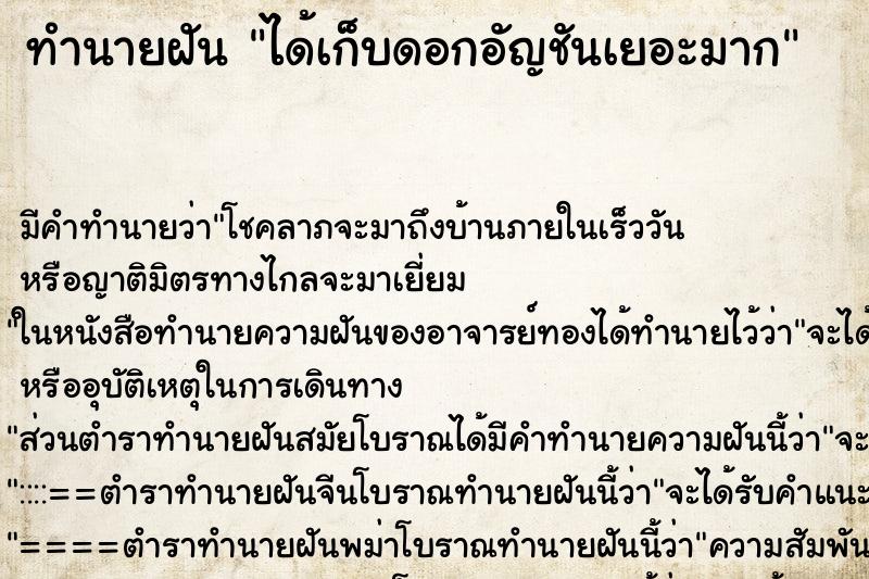 ทำนายฝัน ได้เก็บดอกอัญชันเยอะมาก ทำนายฝัน ได้เก็บดอกอัญชันเยอะมาก