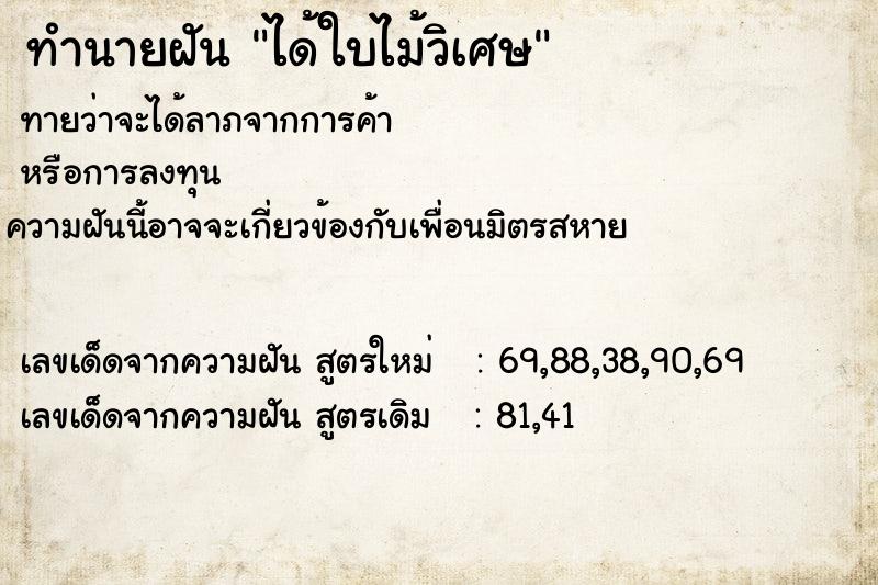 ทำนายฝัน ได้ใบไม้วิเศษ ทำนายฝัน ได้ใบไม้วิเศษ