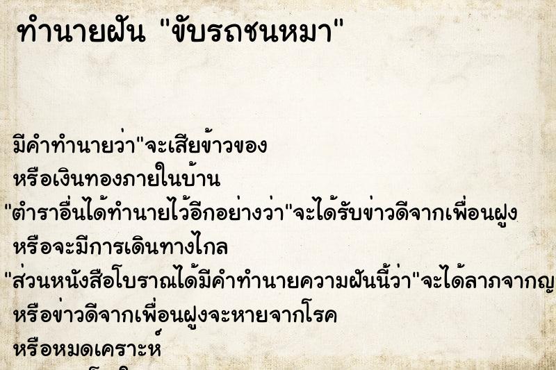 ทำนายฝัน ขับรถชนหมา ทำนายฝัน ขับรถชนหมา