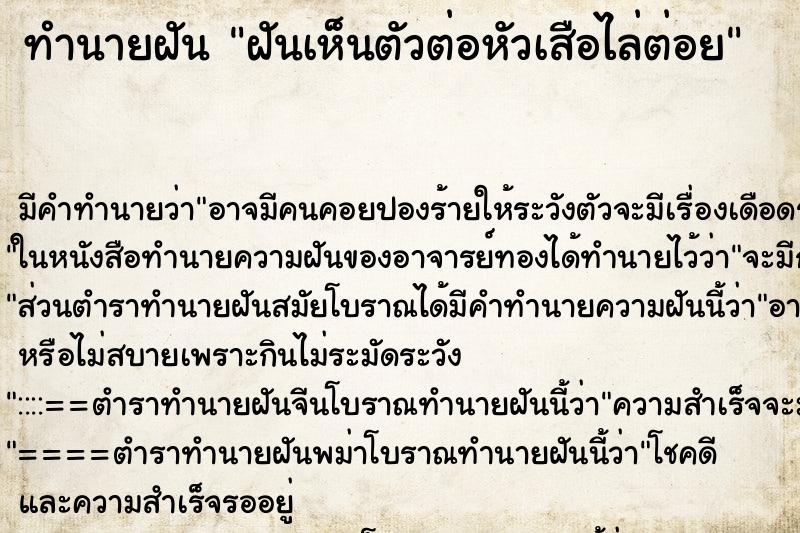 ทำนายฝันฝันเห็นตัวต่อหัวเสือไล่ต่อย ทำนายฝันทำนายฝันฝันเห็นตัวต่อหัวเสือไล่ต่อย