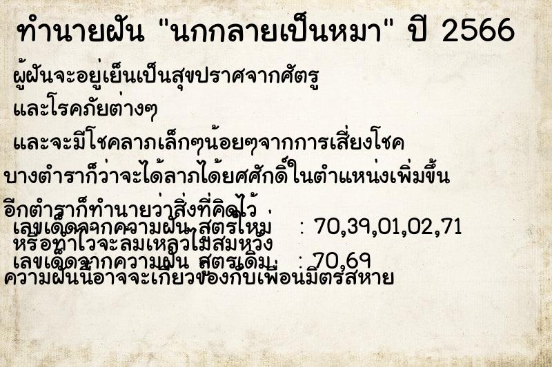 ทำนายฝัน นกกลายเป็นหมา