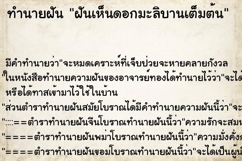 ทำนายฝัน ฝันเห็นดอกมะลิบานเต็มต้น ตำราโบราณ แม่นที่สุดในโลก