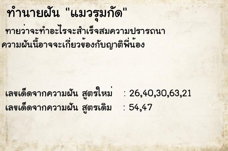 ทำนายฝันแมวรุมกัด ทำนายฝันทำนายฝันแมวรุมกัด