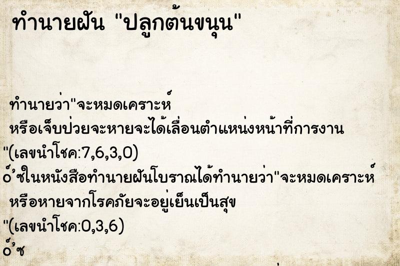 ทำนายฝันปลูกต้นขนุน ทำนายฝันทำนายฝันปลูกต้นขนุน