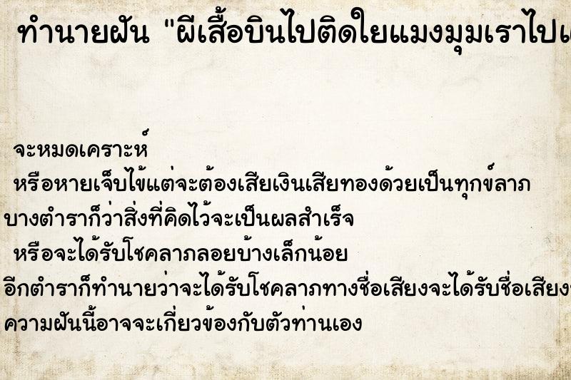 ทำนายฝันผีเสื้อบินไปติดใยแมงมุมเราไปแกะออก ทำนายฝันทำนายฝันผีเสื้อบินไปติดใยแมงมุมเราไปแกะออก