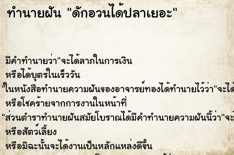 ทำนายฝัน ดักอวนได้ปลาเยอะ ทำนายฝัน ดักอวนได้ปลาเยอะ
