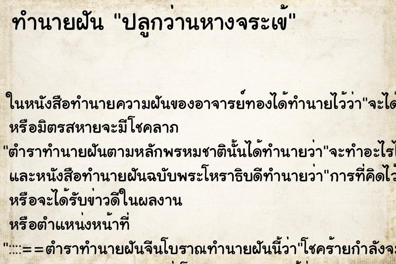 ทำนายฝันทำนายฝันปลูกว่านหางจระเข้