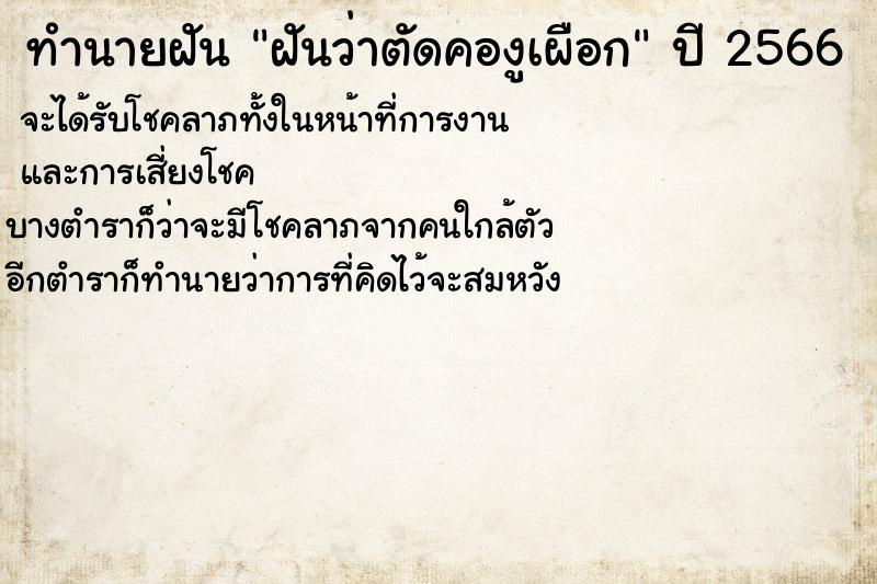 ทำนายฝันฝันว่าตัดคองูเผือก ทำนายฝันทำนายฝันฝันว่าตัดคองูเผือก