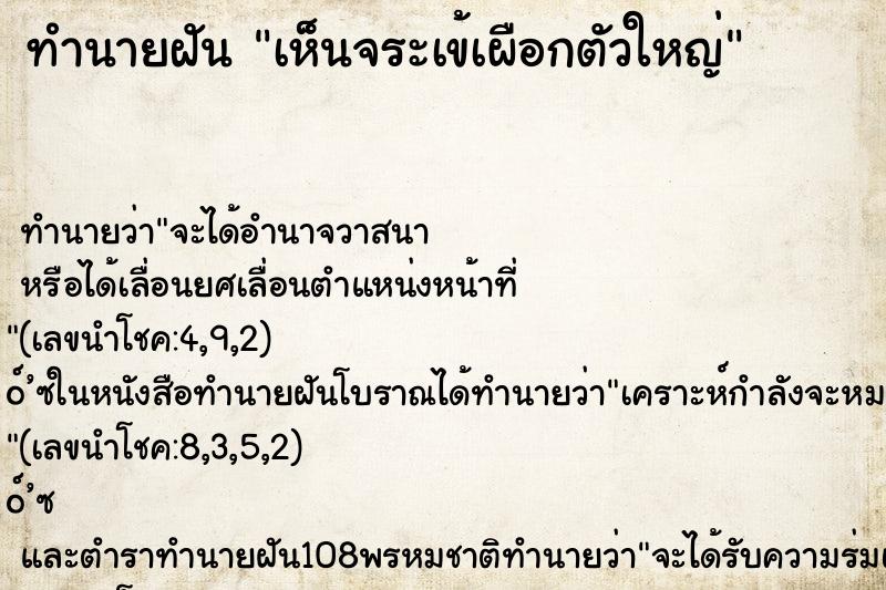 ทำนายฝัน เห็นจระเข้เผือกตัวใหญ่