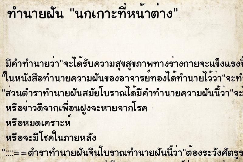 ทำนายฝันนกเกาะที่หน้าต่าง ทำนายฝันทำนายฝันนกเกาะที่หน้าต่าง