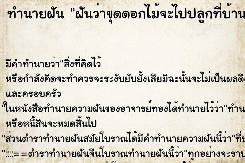 ทำนายฝัน ฝันว่าขุดดอกไม้จะไปปลูกที่บ้าน ทำนายฝัน ฝันว่าขุดดอกไม้จะไปปลูกที่บ้าน