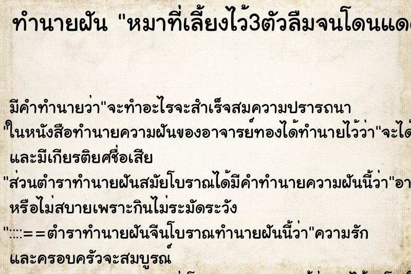 ทำนายฝัน หมาที่เลี้ยงไว้3ตัวลืมจนโดนแดด