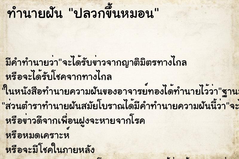 ทำนายฝัน ปลวกขึ้นหมอน ทำนายฝัน ปลวกขึ้นหมอน