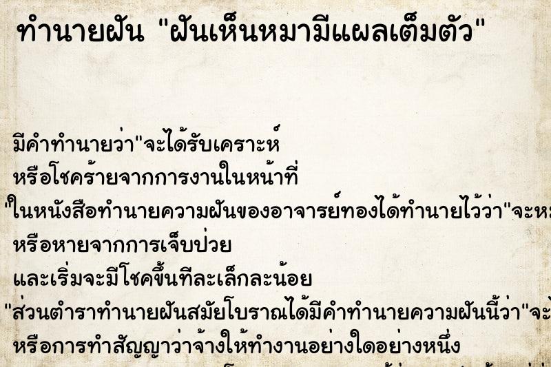 ทำนายฝัน ฝันเห็นหมามีแผลเต็มตัว ตำราโบราณ แม่นที่สุดในโลก