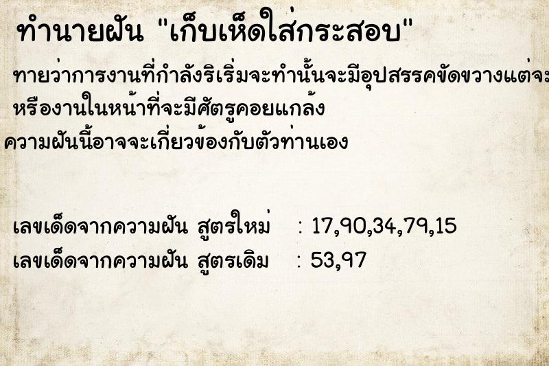 ทำนายฝันทำนายฝันเก็บเห็ดใส่กระสอบ