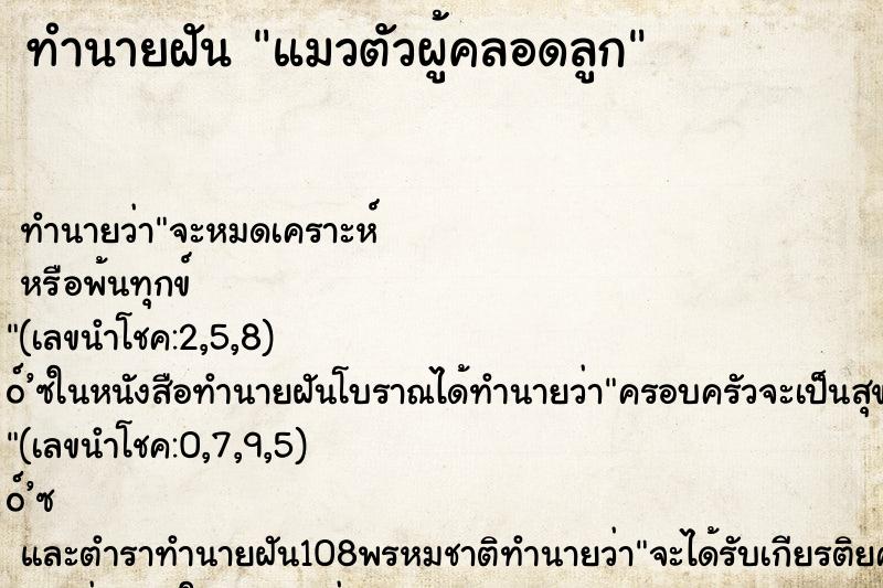 ทำนายฝัน แมวตัวผู้คลอดลูก ทำนายฝัน แมวตัวผู้คลอดลูก