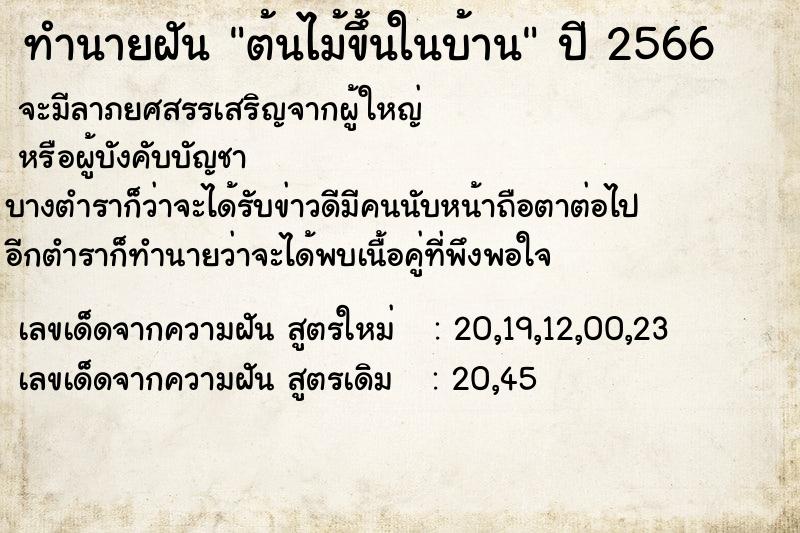 ทำนายฝัน ต้นไม้ขึ้นในบ้าน ทำนายฝัน ต้นไม้ขึ้นในบ้าน