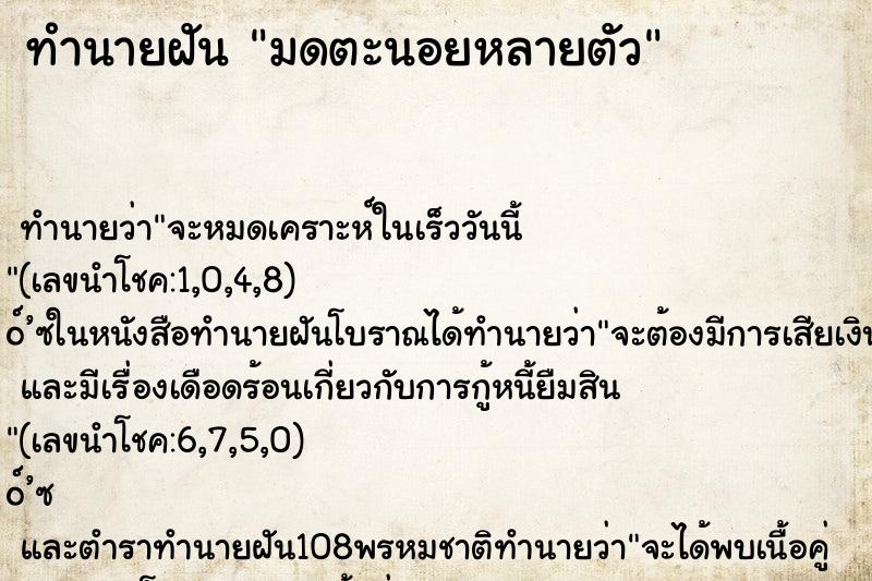 ทำนายฝัน มดตะนอยหลายตัว ตำราโบราณ แม่นที่สุดในโลก