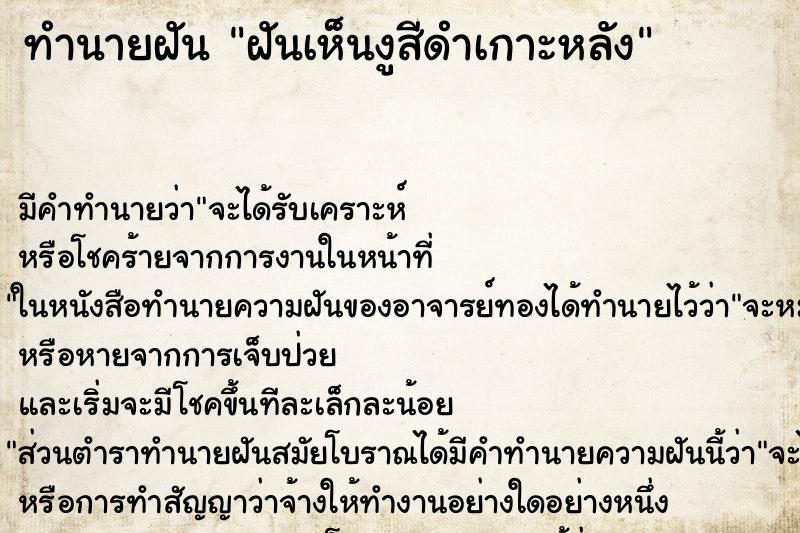 ทำนายฝัน ฝันเห็นงูสีดำเกาะหลัง ทำนายฝัน ฝันเห็นงูสีดำเกาะหลัง