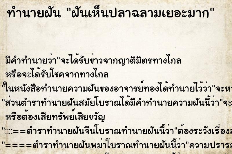 ทำนายฝันฝันเห็นปลาฉลามเยอะมาก ทำนายฝันทำนายฝันฝันเห็นปลาฉลามเยอะมาก