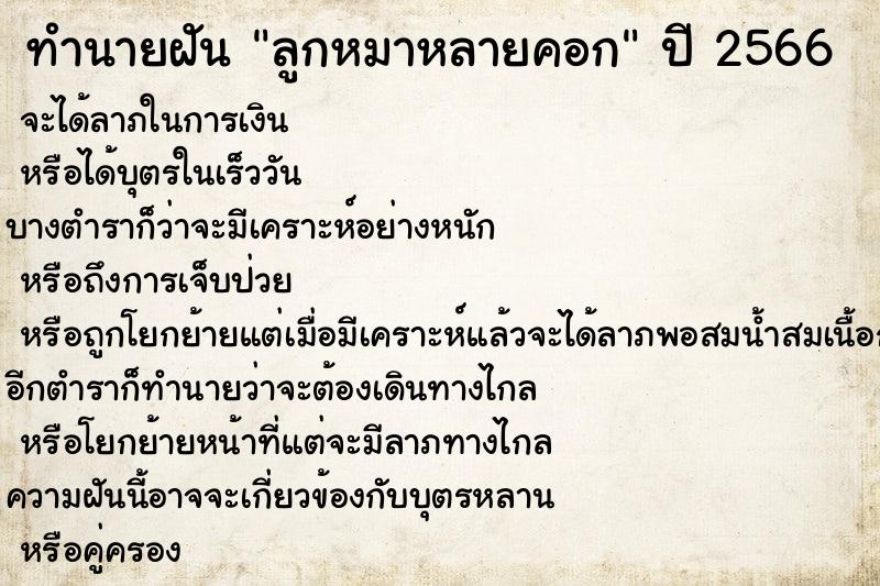 ทำนายฝันทำนายฝันลูกหมาหลายคอก