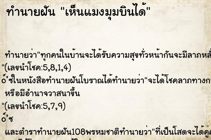 ทำนายฝัน เห็นแมงมุมบินได้ ทำนายฝัน เห็นแมงมุมบินได้