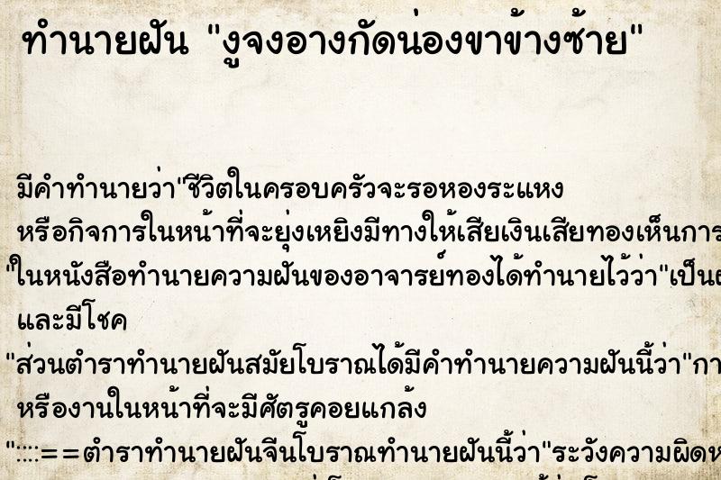 ทำนายฝันงูจงอางกัดน่องขาข้างซ้าย ทำนายฝันทำนายฝันงูจงอางกัดน่องขาข้างซ้าย