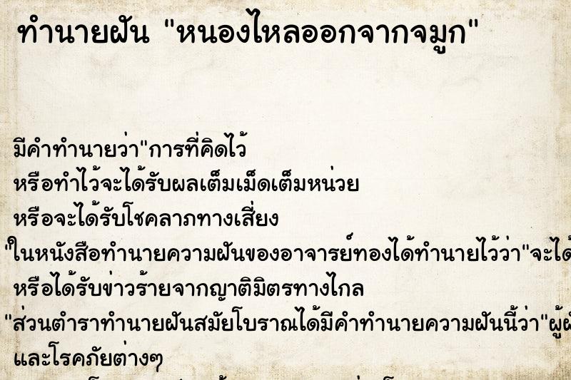 ทำนายฝัน หนองไหลออกจากจมูก ทำนายฝัน หนองไหลออกจากจมูก