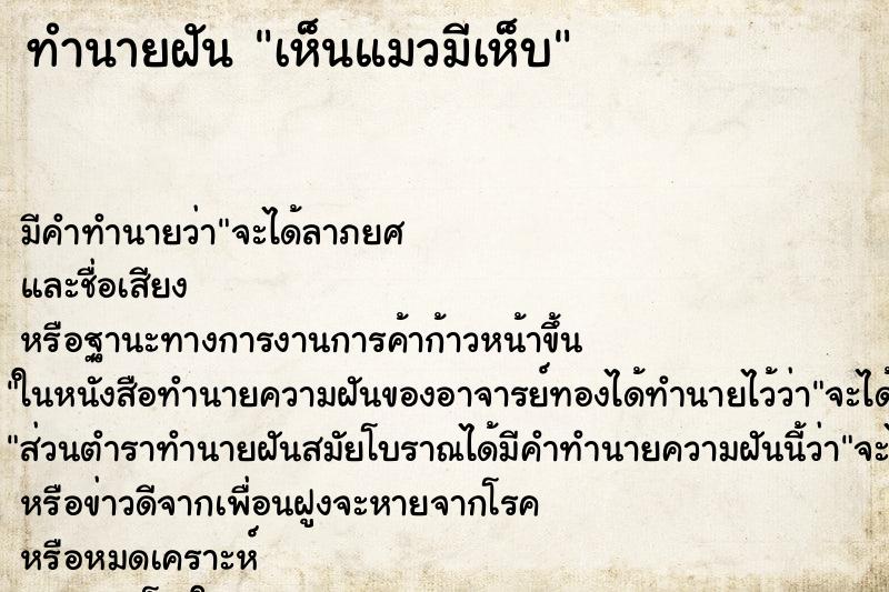 ทำนายฝัน เห็นแมวมีเห็บ ทำนายฝัน เห็นแมวมีเห็บ