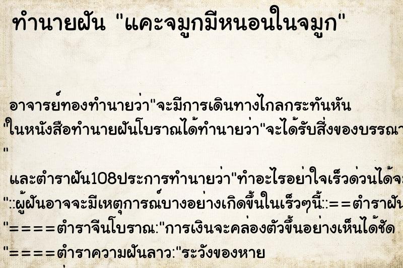 ทำนายฝันแคะจมูกมีหนอนในจมูก ทำนายฝันทำนายฝันแคะจมูกมีหนอนในจมูก